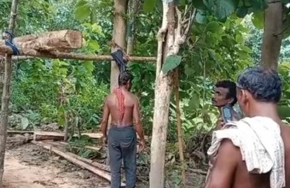 Illegal smuggling rampant from dense forest of Atharomura hills Illegal smuggling rampant from dense forest of Atharomura hills